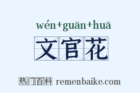 文官花是什么意思的图片